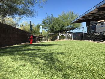 Pet park